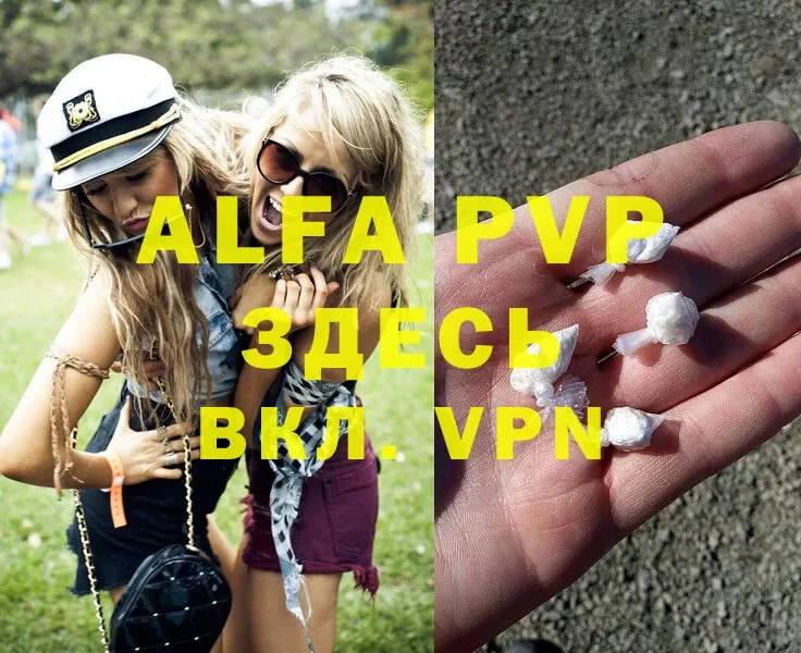 Alfa_PVP СК КРИС  Александровск 