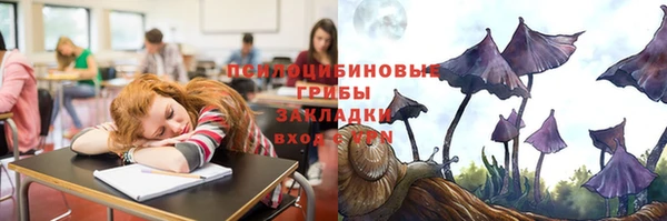 дурь Бугульма